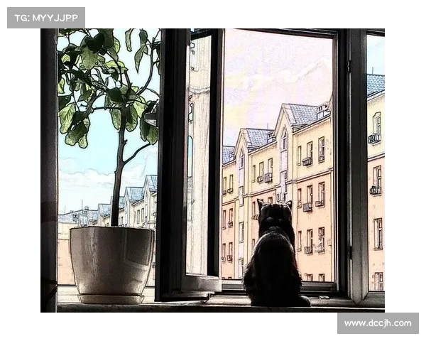 《我是猫》:一只善思、正直、有见识却又不会捉老鼠的猫的世界 《我是猫》:一只善思、正直、有见识却又不会捉老鼠的猫的世界